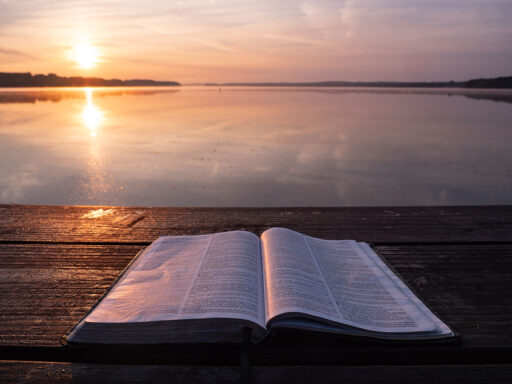 Bachiller en Biblia y Teología
